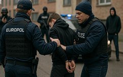 article-title