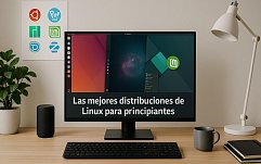 article-title