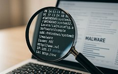 article-title