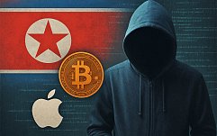 article-title